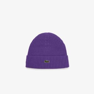 Lacoste Acanalado Lana Beanie Moradas | 0596-OWAXE