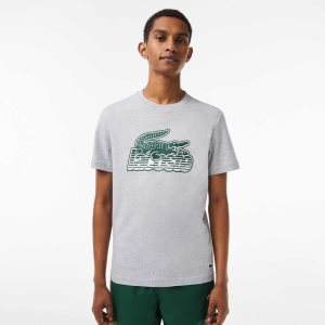 Lacoste Algodon Jersey Print Gris | 7539-ZDWHV