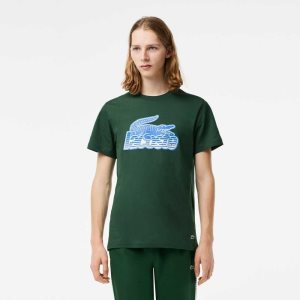 Lacoste Algodon Jersey Print Verde | 7083-EBOQU