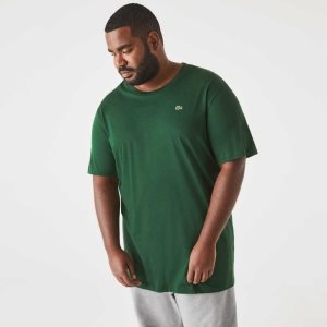 Lacoste Altas Fit Pima Algodon Jersey Verde | 1974-IZFNM