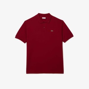 Lacoste Big Fit Algodon Petit Pique Burdeos | 1802-HRXVN