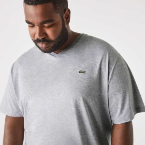 Lacoste Big Fit V-Neck Jersey Gris | 8769-JHZTI