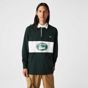 Lacoste Branded Loose Fit Rugby Verde | 3580-YUIHR