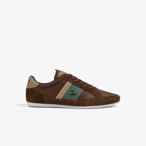 Lacoste Chaymon Cuero Marrones Verde | 4307-JKCRG