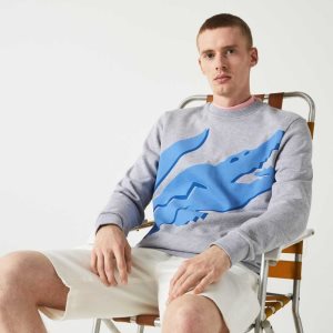 Lacoste Crew Neck Print Organic Algodon Fleece Gris | 9185-NIOWL