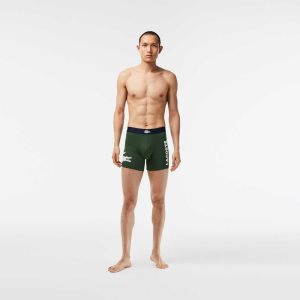 Lacoste Crocodile Cintura Long Stretch Algodon Boxer Brief 3-Pack Verde Azul Marino Azules Blancas | 4389-UOCRZ