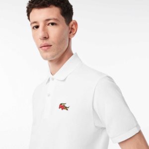 Lacoste Netflix Organic Algodon Multicolor | 0369-WCRPU