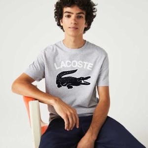 Lacoste Regular Fit XL Crocodile Print Gris | 2843-NDLWB