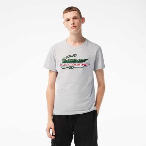 Lacoste SPORT Regular Fit Organic Algodon Gris | 0793-LSJQF