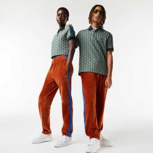 Lacoste Side Contrast Band Trackpants Marrones | 8106-ARTKI