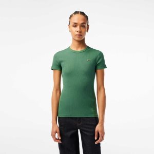 Lacoste Slim Fit Organic Algodon T-Shirt Kaki Verde | 4092-QSLKW