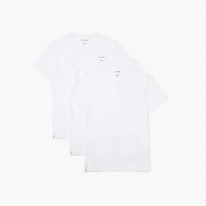 Lacoste T-Shirt 3-Pack Blancas | 7368-CVRAP