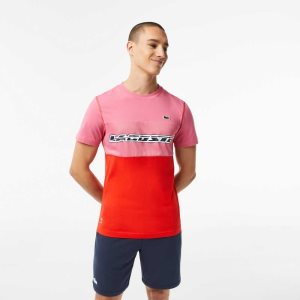 Lacoste Tenis x Daniil Medvedev Jersey Rosas Rojas Azules | 8945-BVLXE