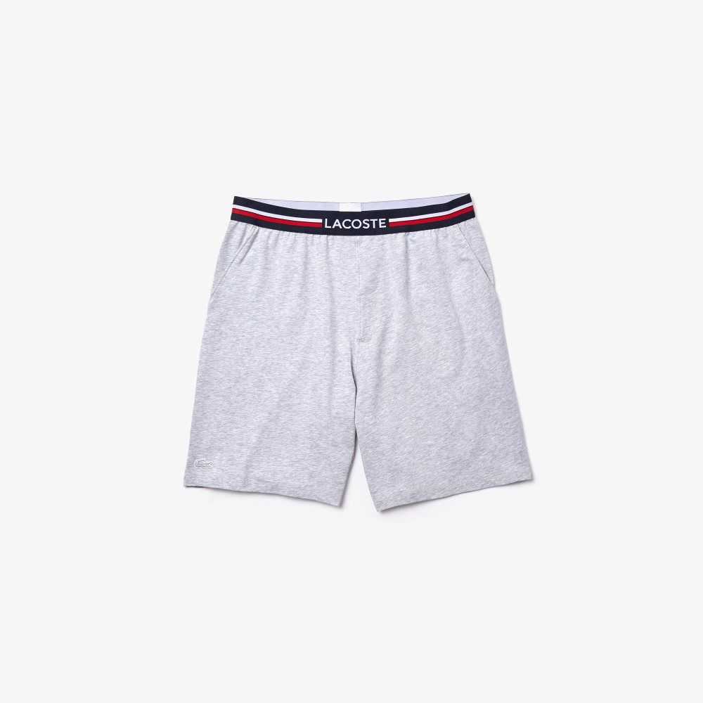 Lacoste A Rayas-Cintura Long Boxer Briefs Gris | 5463-YZLMC