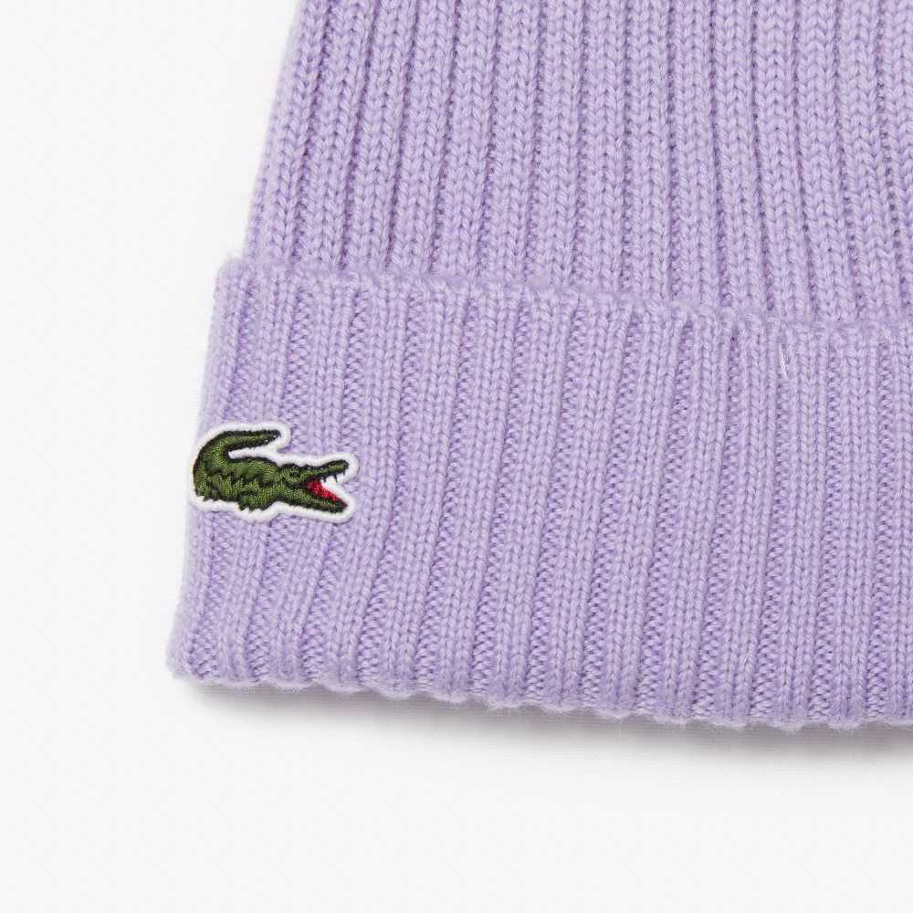 Lacoste Acanalado Lana Beanie Moradas | 0138-WPSNH