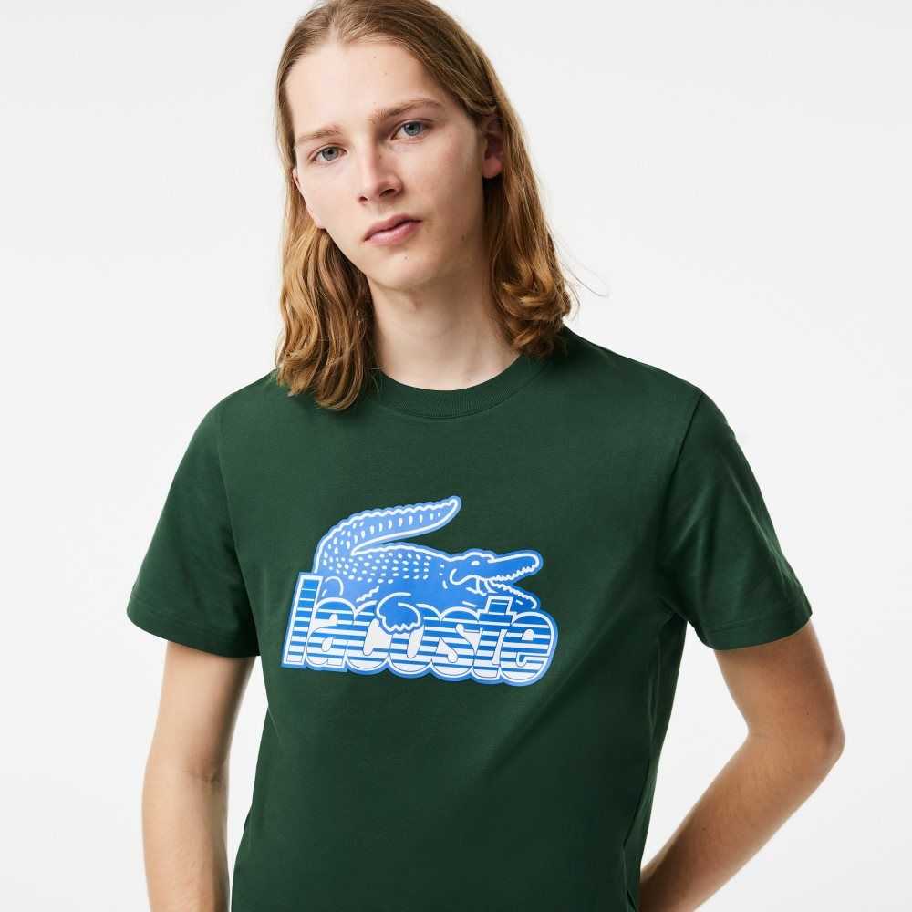 Lacoste Algodon Jersey Print Verde | 7083-EBOQU