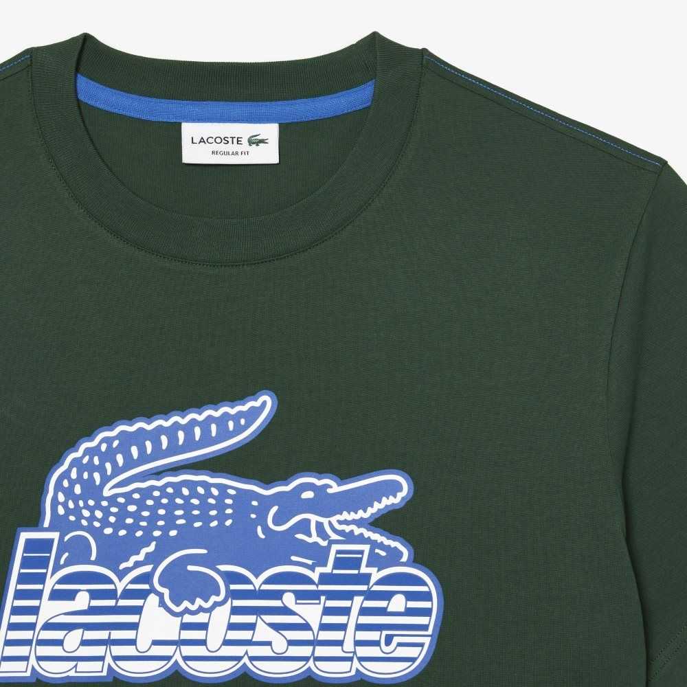 Lacoste Algodon Jersey Print Verde | 7083-EBOQU