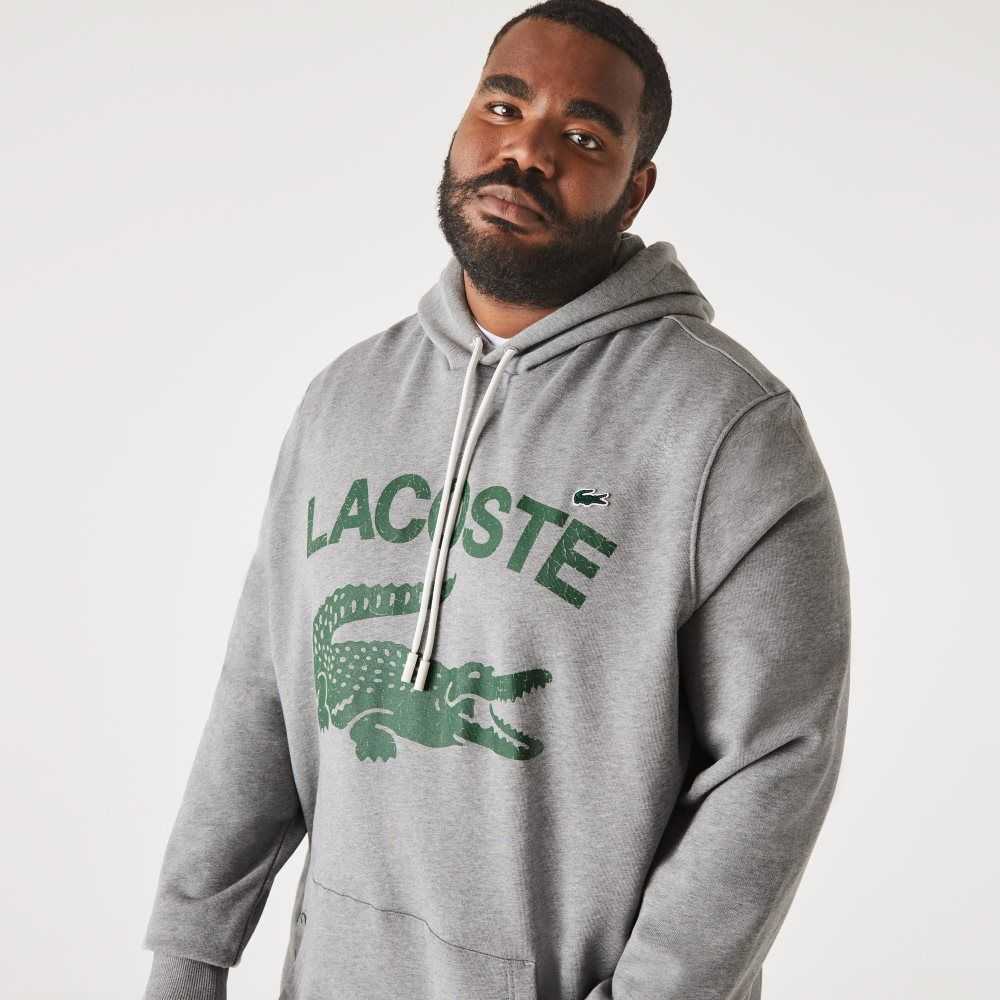 Lacoste Altas Fit Algodon Fleece Hoodie Gris | 2159-GYFOU