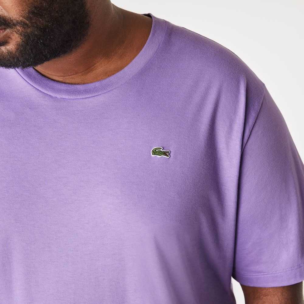 Lacoste Altas Fit Pima Algodon Jersey Moradas | 3612-ZFAKN