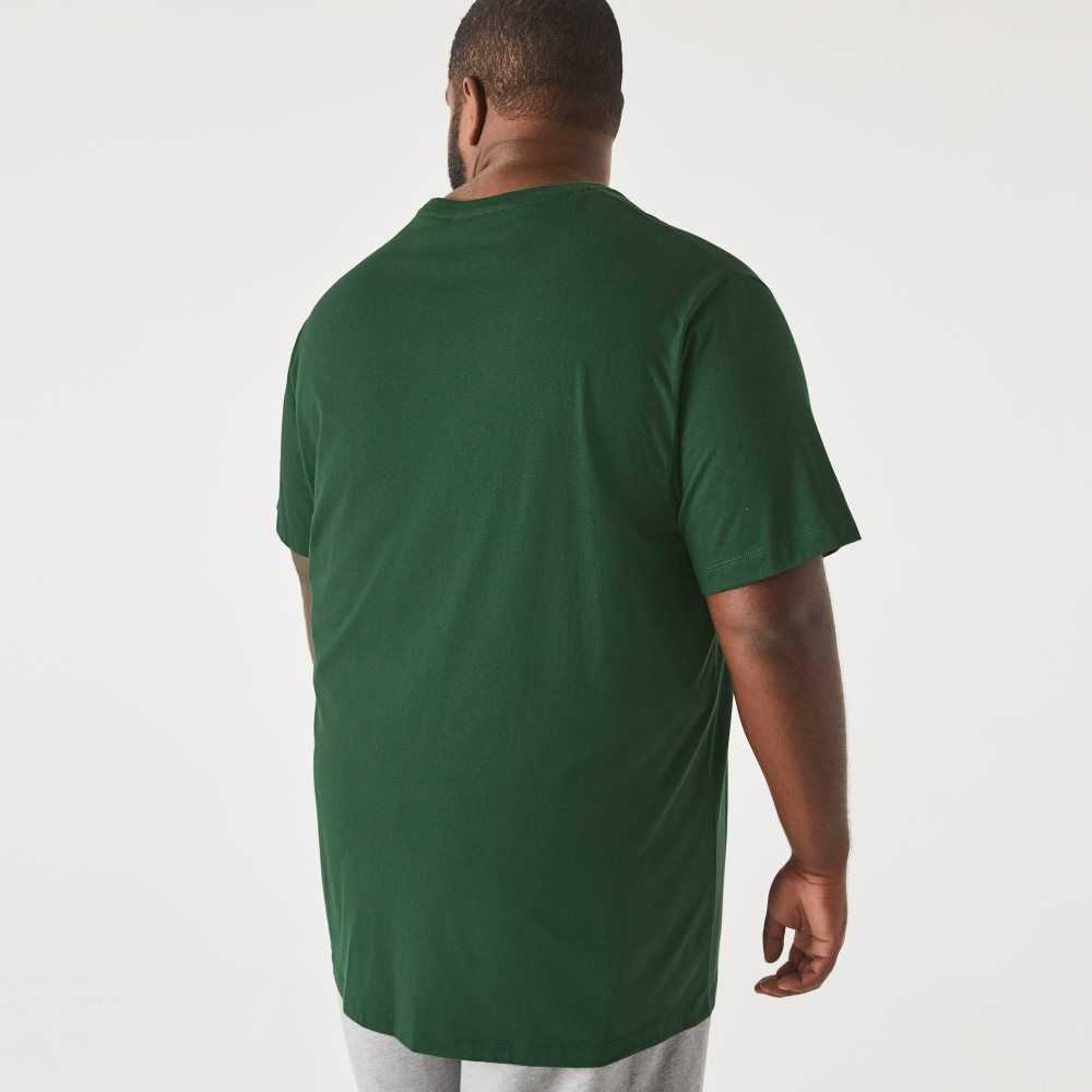 Lacoste Big Fit Crew Neck Algodon Jersey Verde | 2956-CGTDM