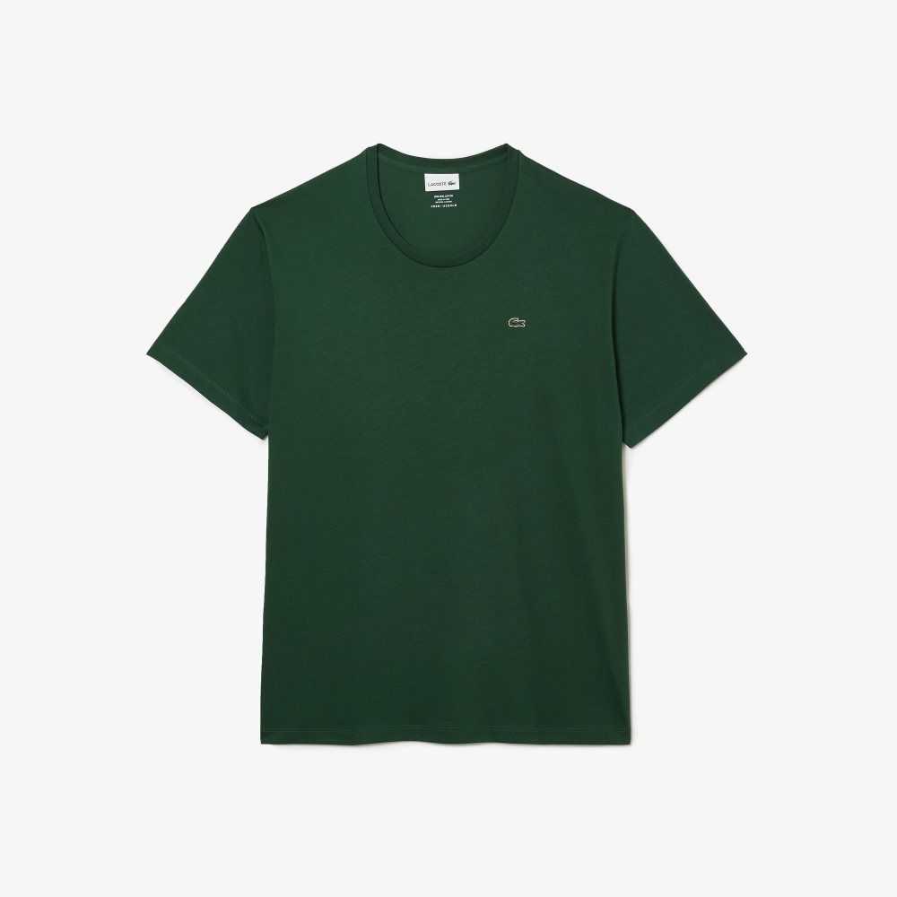 Lacoste Big Fit Crew Neck Algodon Jersey Verde | 2956-CGTDM