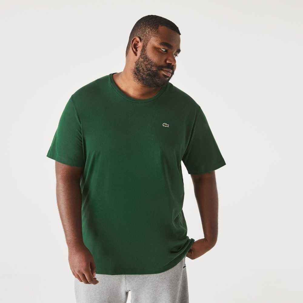 Lacoste Big Fit Crew Neck Algodon Jersey Verde | 2956-CGTDM