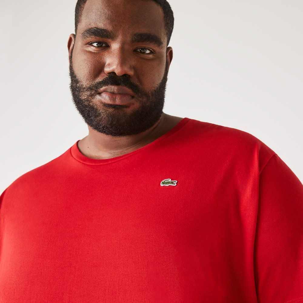 Lacoste Big Fit Crew Neck Algodon Jersey Rojas | 3167-UNDVF