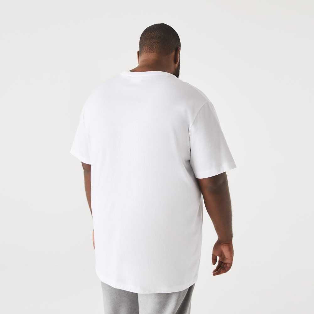 Lacoste Big Fit Crew Neck Algodon Jersey Blancas | 3679-GAWPE