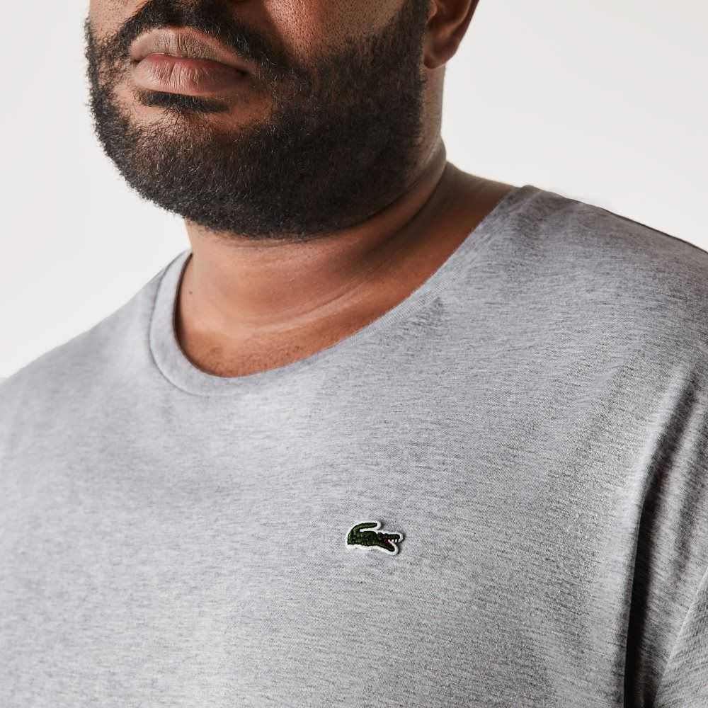 Lacoste Big Fit Crew Neck Algodon Jersey Gris | 4956-AXCRD