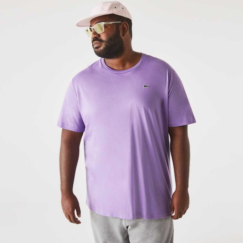 Lacoste Big Fit Crew Neck Algodon Jersey Moradas | 9235-UVNBS