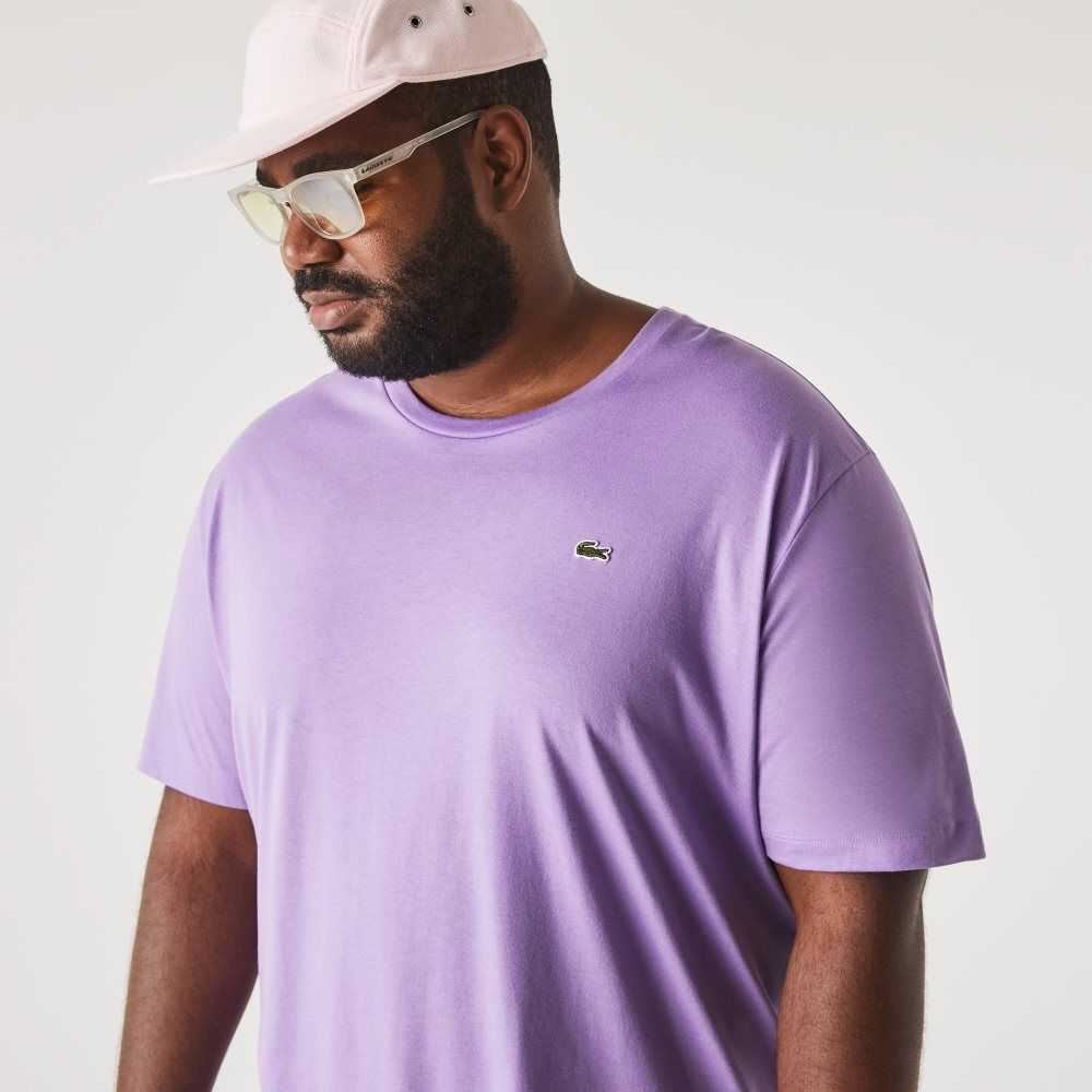 Lacoste Big Fit Crew Neck Algodon Jersey Moradas | 9235-UVNBS