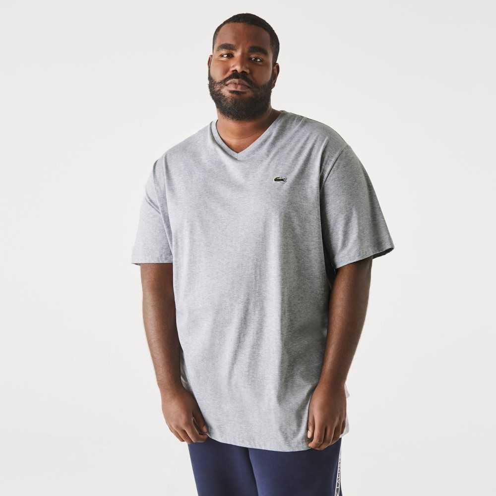 Lacoste Big Fit V-Neck Jersey Gris | 8769-JHZTI