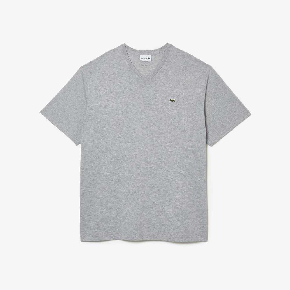 Lacoste Big Fit V-Neck Jersey Gris | 8769-JHZTI