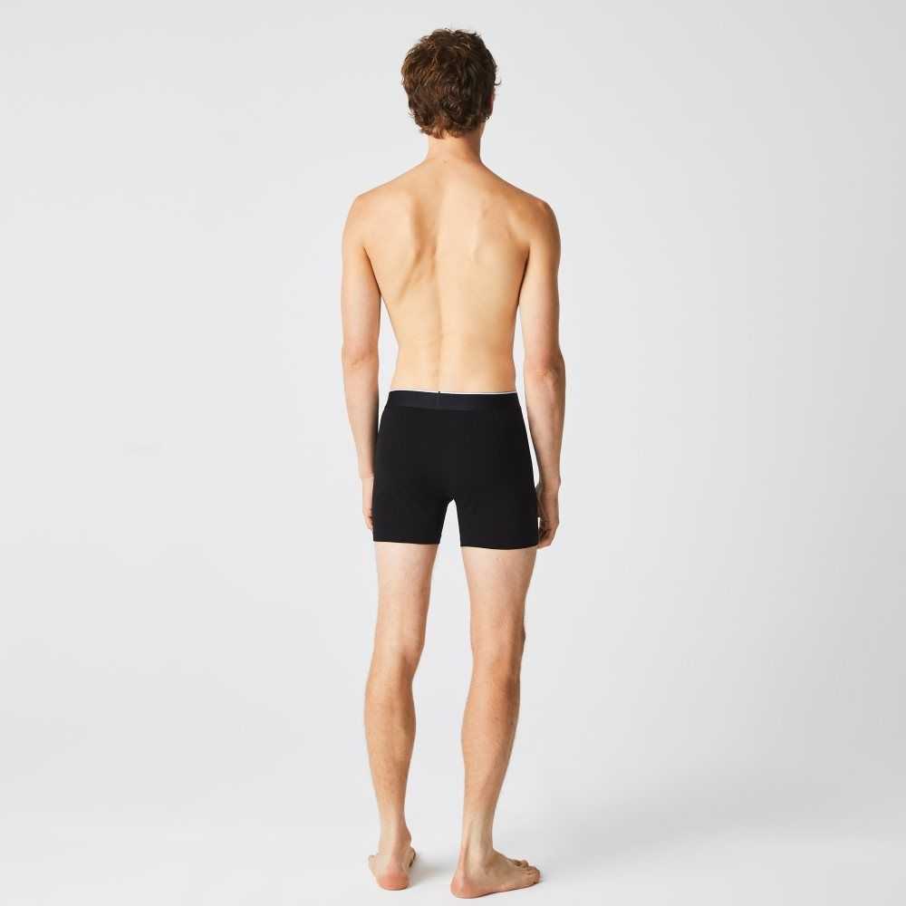 Lacoste Branded Cintura Long Stretch Algodon Boxer Brief 3-Pack Negras Gris | 3451-WXVFQ