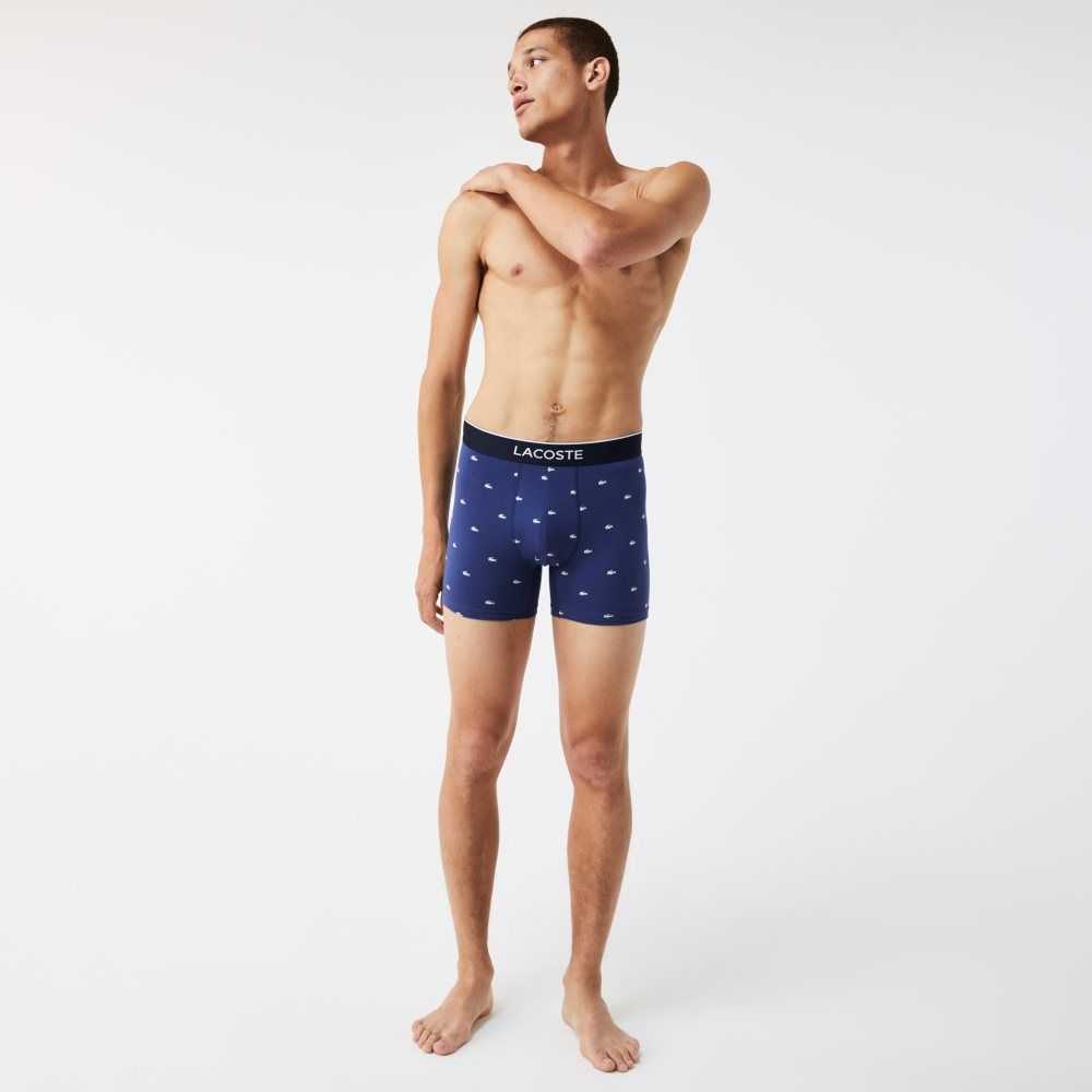 Lacoste Branded Cintura Long Stretch Algodon Boxer Brief 3-Pack Azul Marino Azules Gris Rojas | 9647-GAWJQ