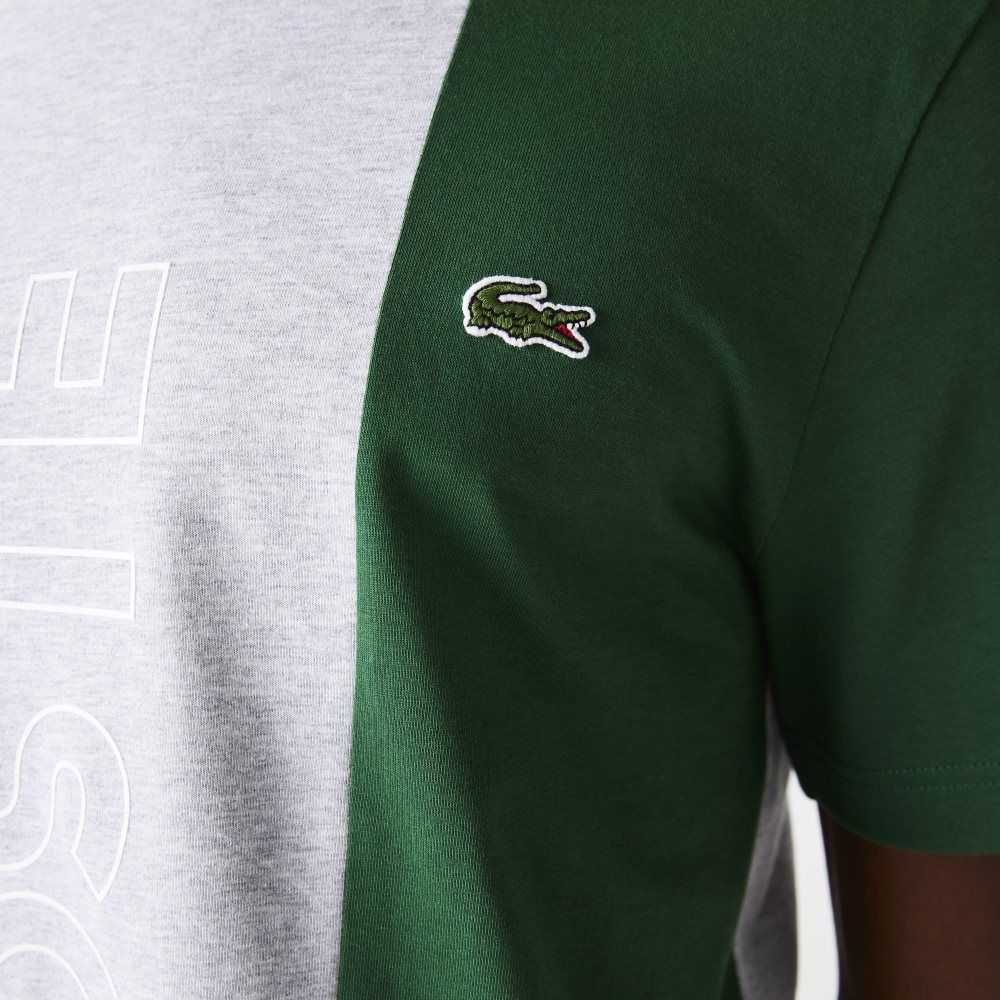 Lacoste Branded Crew Neck Algodon Gris Azules Verde | 7361-RKILJ