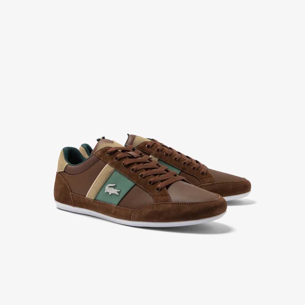 Lacoste Chaymon Cuero Marrones Verde | 4307-JKCRG