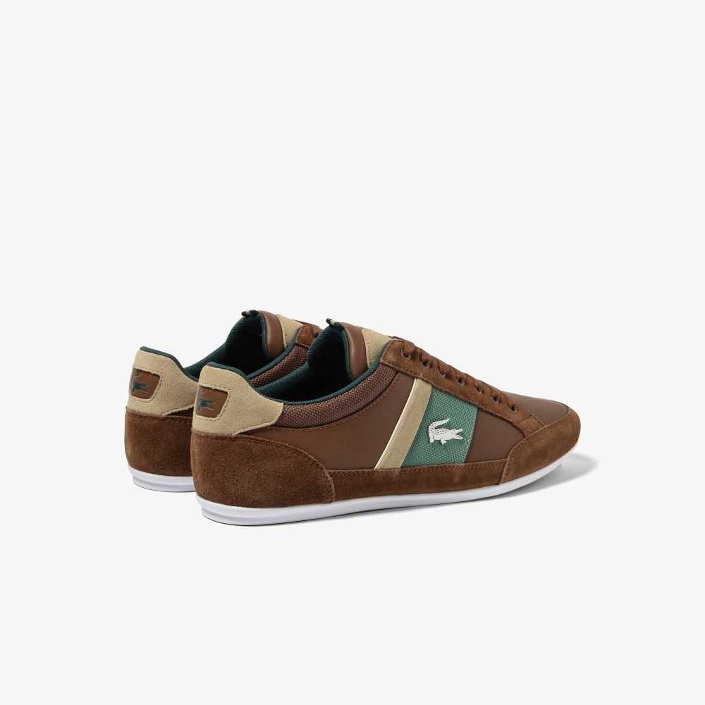 Lacoste Chaymon Cuero Marrones Verde | 4307-JKCRG