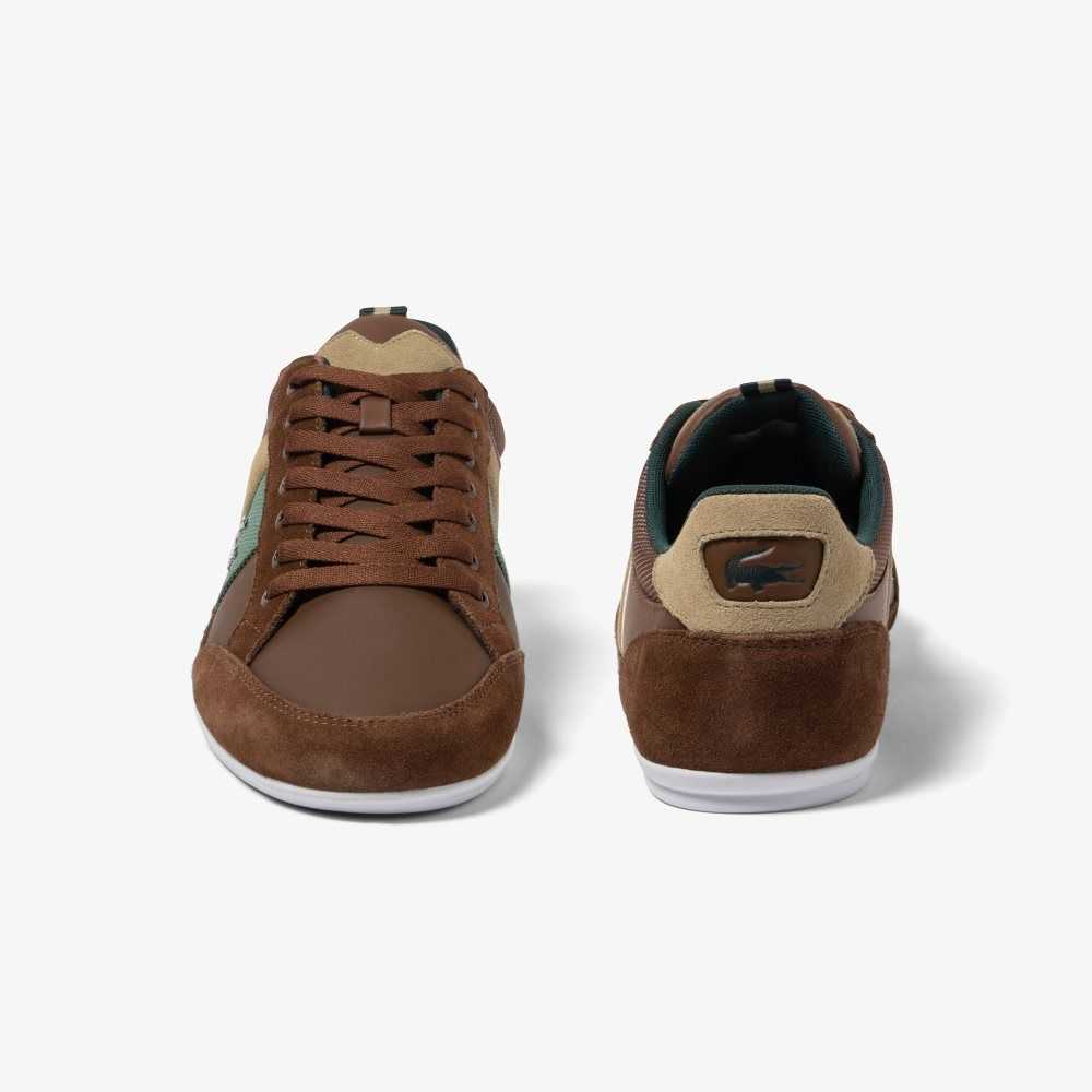 Lacoste Chaymon Cuero Marrones Verde | 4307-JKCRG