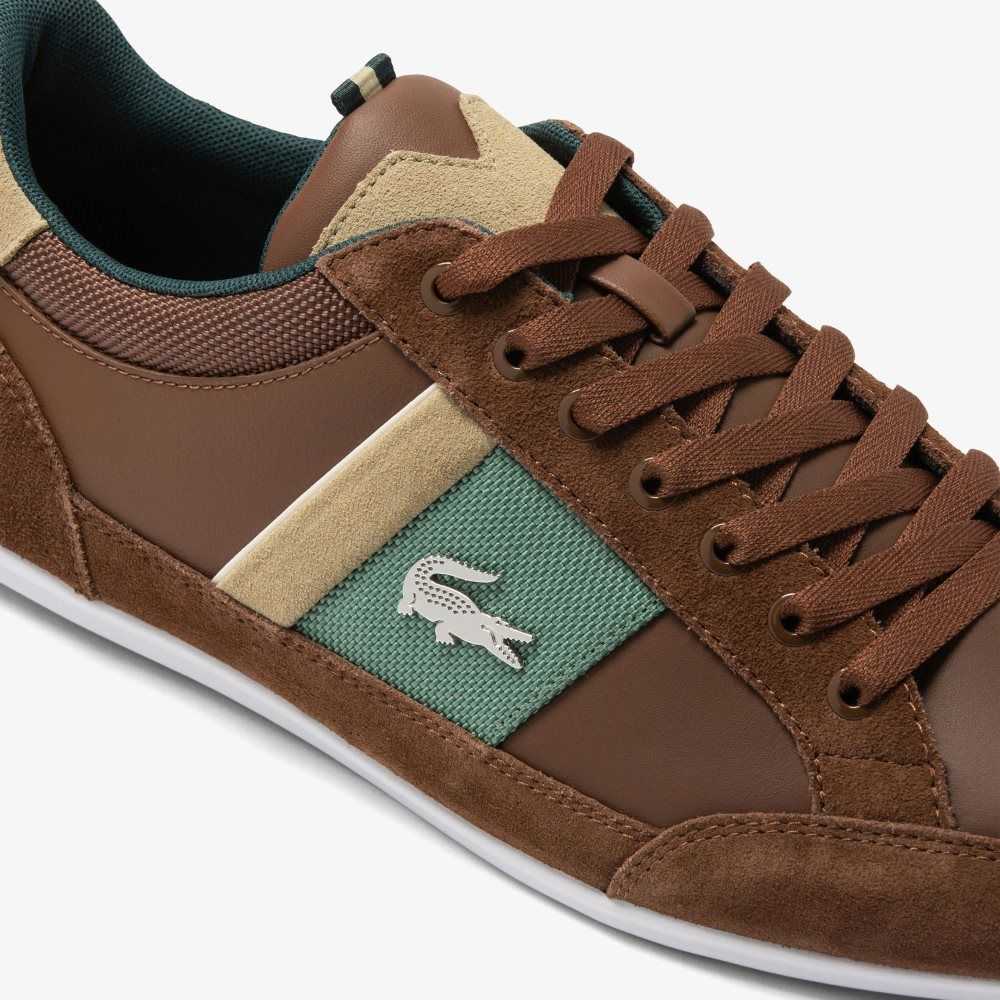 Lacoste Chaymon Cuero Marrones Verde | 4307-JKCRG