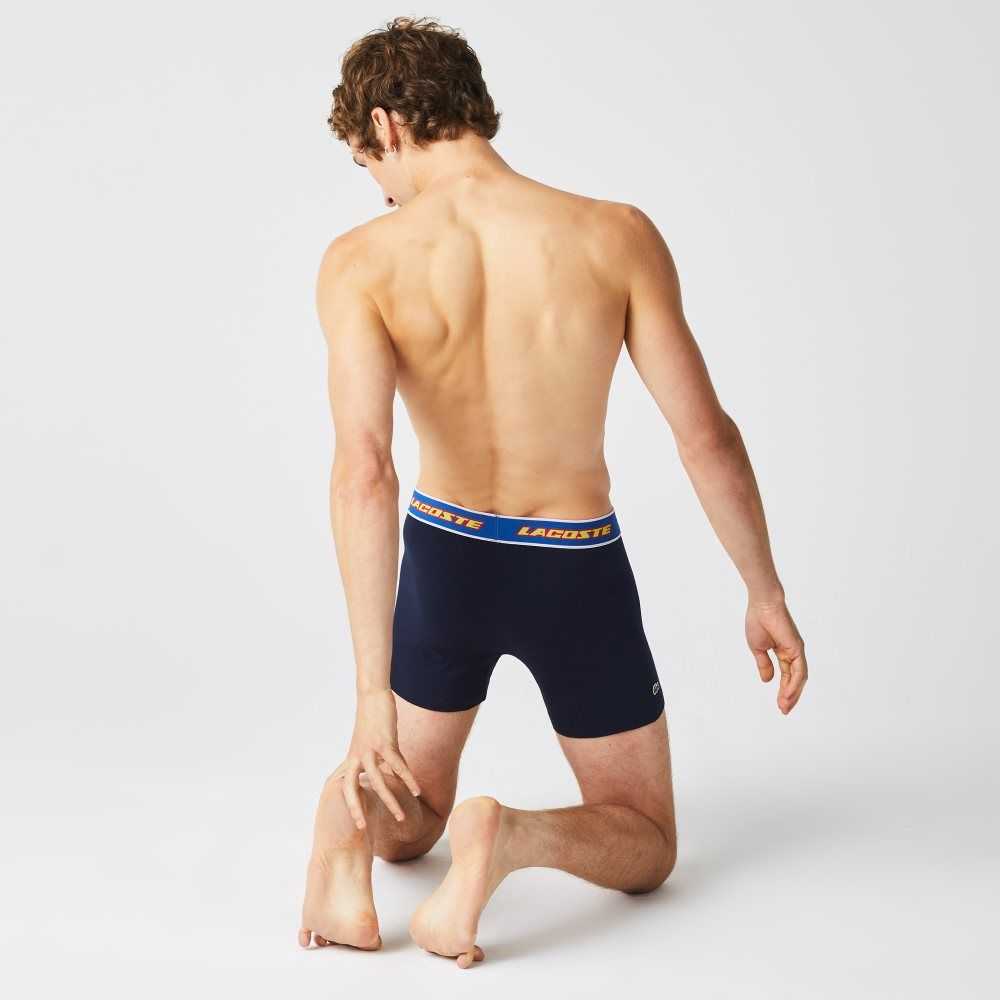 Lacoste Contrast Cintura Boxer Brief 3-Pack Azul Marino Azules Rojas Blancas Azules | 7513-FMGWQ