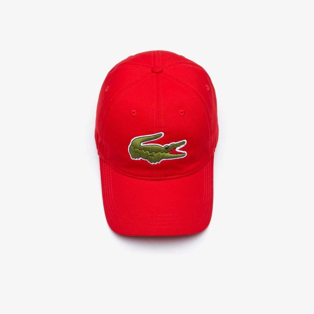 Lacoste Contrast Correa And Oversized Crocodile Algodon Rojas | 7864-XNHJF