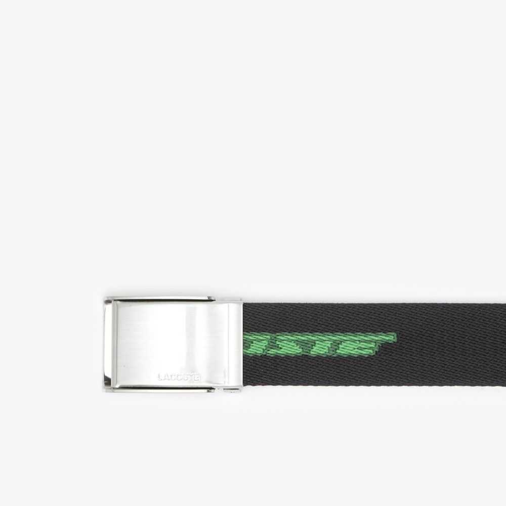 Lacoste Contrast Logo Print Belt Multicolor | 0569-VCJKF