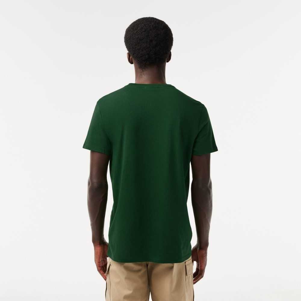 Lacoste Crew Neck Pima Algodon Jersey Verde | 5497-REOFD