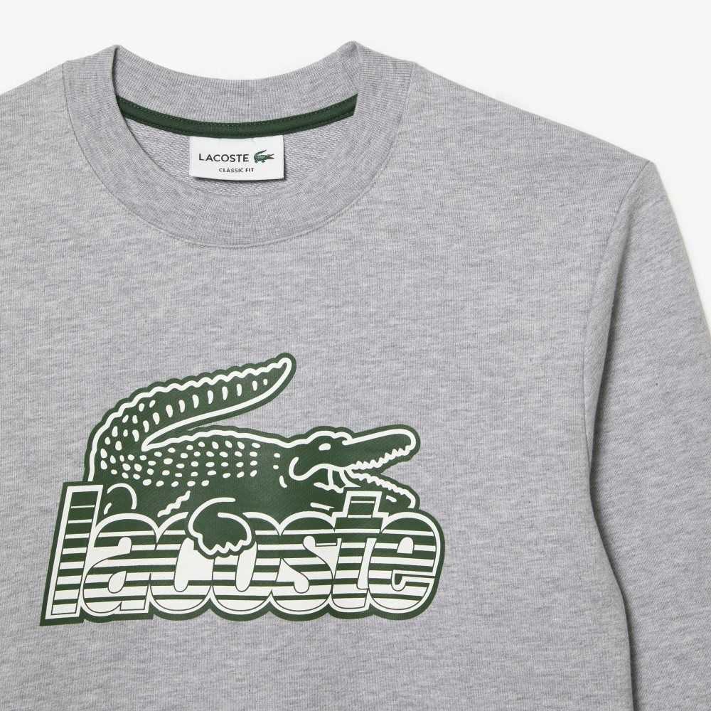 Lacoste Crew Neck Unbrushed Fleece Sweatshirt Gris | 3859-UPDKQ