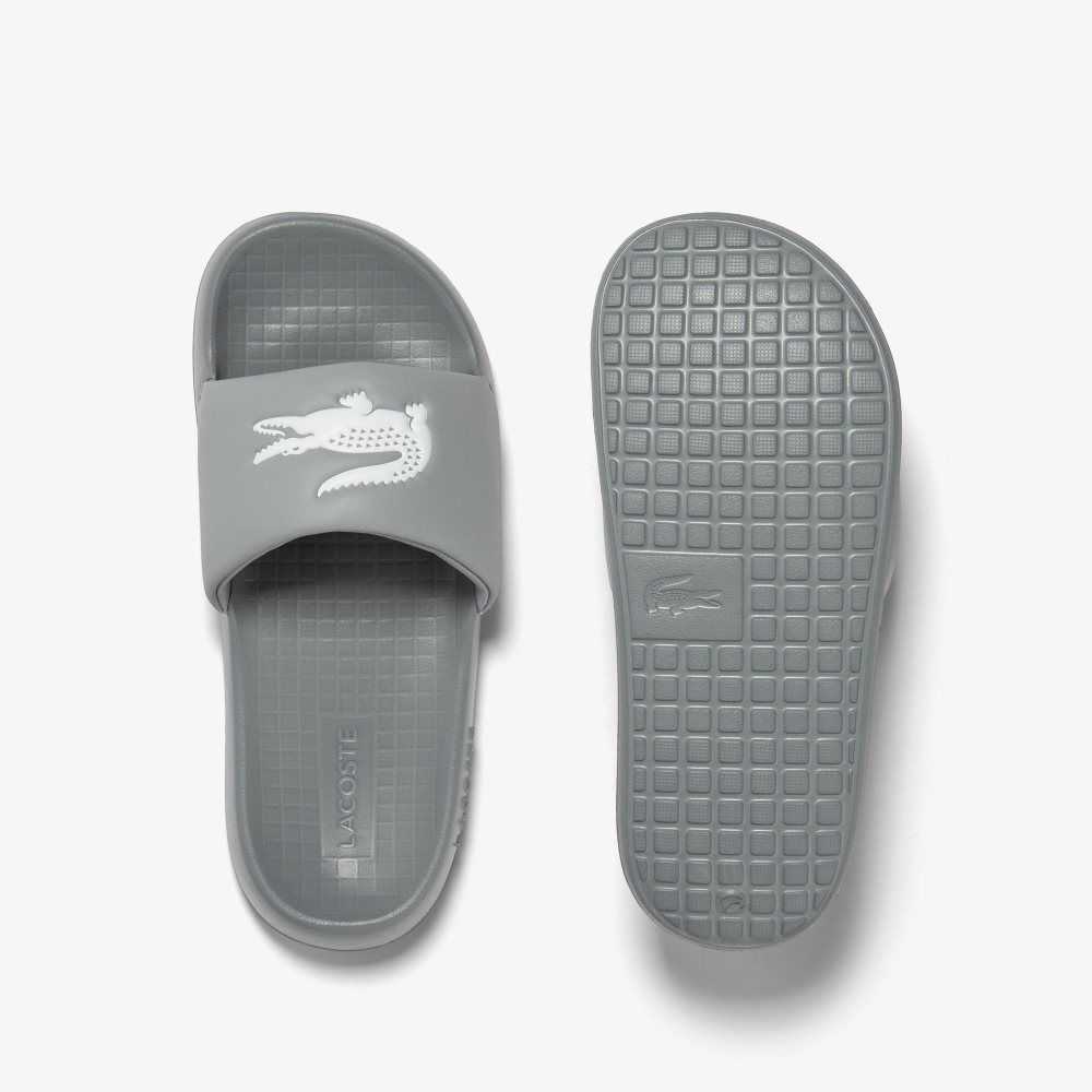 Lacoste Croco 1.0 Gris Blancas | 6182-IKWHY