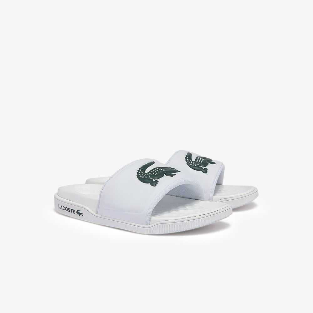 Lacoste Croco Dualiste Logo Correa Blancas Verde Oscuro | 3790-HAFSG