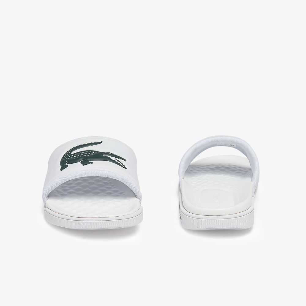 Lacoste Croco Dualiste Logo Correa Blancas Verde Oscuro | 3790-HAFSG