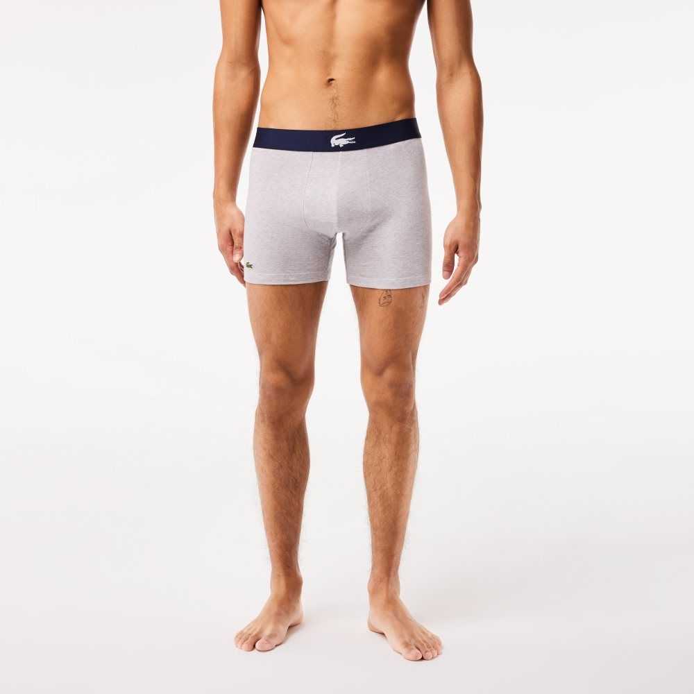 Lacoste Crocodile Cintura Long Stretch Algodon Boxer Brief 3-Pack Azul Marino Azules Blancas Gris Azul Marino Azules | 0468-ISJTL