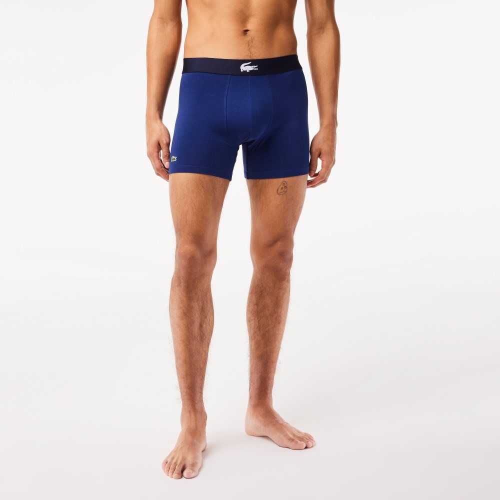 Lacoste Crocodile Cintura Long Stretch Algodon Boxer Brief 3-Pack Azul Marino Azules Blancas Gris Azul Marino Azules | 0468-ISJTL